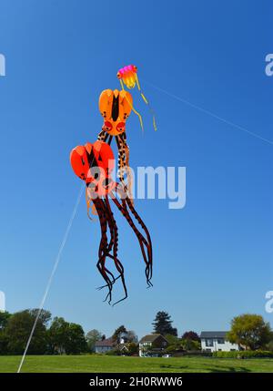 Tre Octopus Kites contro il cielo blu Foto Stock