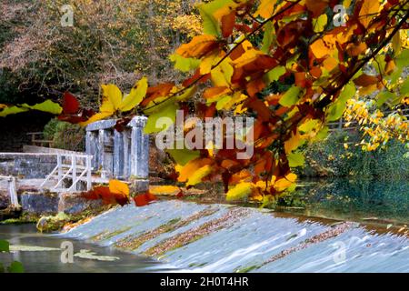 Baden-Wurttemberg : Blautopf in autunno look Foto Stock