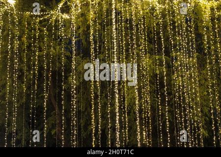 Decorative stringa outdoor luci appese su albero nel giardino di notte Foto Stock