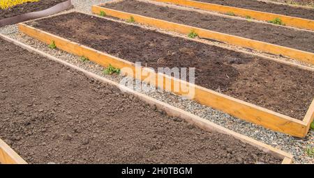 Letti di verdure rialzate di recente costruzione, letti vuoti con terreno preparato in giardino in primavera. Foto Stock