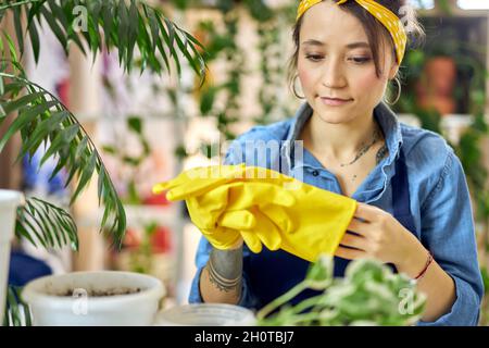 Giovane donna in grembiule che indossa guanti di gomma gialli mentre si prepara per il trapianto di piante in un nuovo vaso a casa Foto Stock