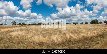 Vista panoramica su un terreno agricolo panoramico a secco di Alentejo con nuvole di cumuli, regione del Portogallo. Foto Stock