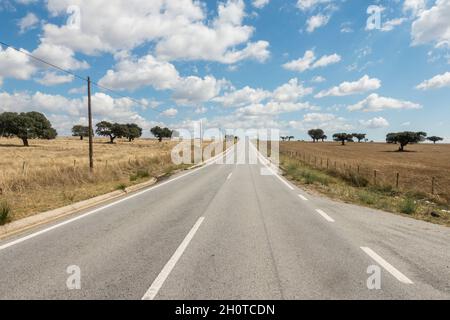 Strada senza fine attraverso i terreni agricoli di Alentejo con le nuvole di cumulo, regione del Portogallo. Foto Stock