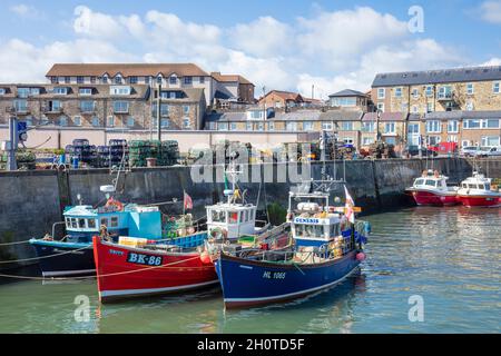 Seahouses Harbour Barche da pesca a Seahouses Harbour North Sunderland Harbour Northumberland Coast Seahouses Inghilterra GB UK Europe Foto Stock