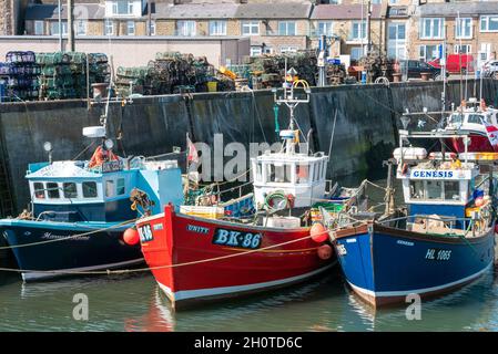 Barche da pesca a Seahouses Harbour North Sunderland Harbour Northumberland Coast Seahouses Inghilterra GB UK Europe Foto Stock