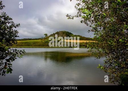 Vista estiva del Loe, il più grande lago naturale della Penrose Estate vicino a Helston in Cornovaglia Inghilterra Regno Unito Foto Stock