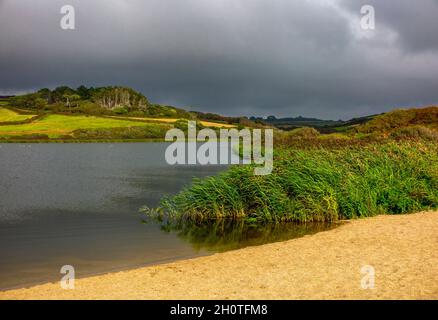 Vista estiva del Loe, il più grande lago naturale della Penrose Estate vicino a Helston in Cornovaglia Inghilterra Regno Unito Foto Stock