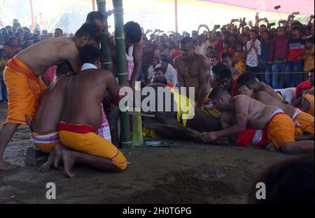 Guwahati, Guwahati, India. 14 Ott 2021. Buffalo pronto per sacrificare come parte del festival indù Durga Puja Maha Navami al tempio di shree Billeshwar, Belsor nel distretto di Nalbari di Assam India Giovedì 14 Ottobre 2021 (Credit Image: © Dasarath Deka/ZUMA Press Wire) Credit: ZUMA Press, Inc./Alamy Live News Foto Stock