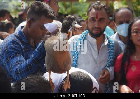 Guwahati, Guwahati, India. 14 Ott 2021. Un giovane tiene un'anatra per il rilascio come parte del festival indù Durga Puja Maha Navami a shree Billeshwar Temple, Belsor nel distretto di Nalbari di Assam India Giovedi 14 ottobre 2021 (Credit Image: © Dasarath Deka/ZUMA Press Wire) Credit: ZUMA Press, Inc./Alamy Live News Foto Stock