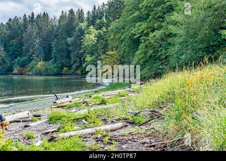 Una vista della costa a Pillar Point nello stato di Washington. Foto Stock