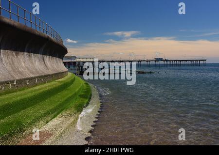 Molo Teignmouth più verde slime sui gradini e pali in lamiera d'acciaio lungo le pareti del mare. Foto Stock