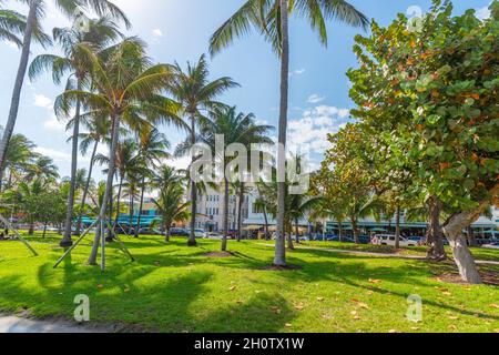 Lummus Park a South Beach, Miami Beach. Florida meridionale, Stati Uniti Foto Stock