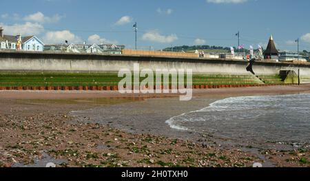 Calce verde sui gradini e mucchi di lamiera d'acciaio lungo la parete marina di Teignmouth a bassa marea. Foto Stock