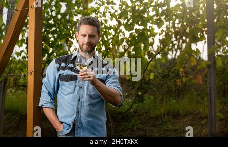 viticoltore positivo uomo agricoltore bere vino in azienda agricola, spazio copia, viticoltore Foto Stock