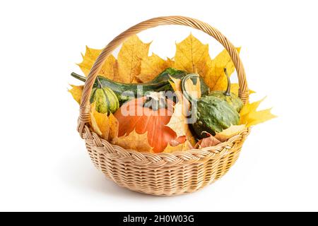 Set di zucche multicolore in un cestino di vimini, con foglie di acero per decorazione di Halloween. Isolare su sfondo bianco. Set di decorazione autunnale Foto Stock