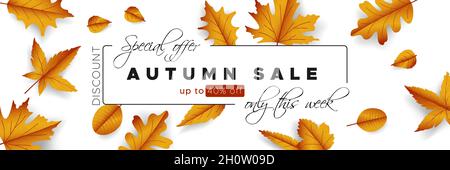 Offerta autunno carta da parati. Promozione Graphic Thanksgiving. Sfondo floreale arancione. Autumn Card con Goliage dorato. Illustrazione Vettoriale