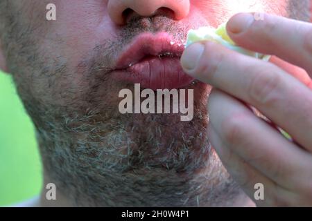 un uomo non rasato con una barba mangia un uovo sodo sullo sfondo della natura verde. fuoco selettivo Foto Stock