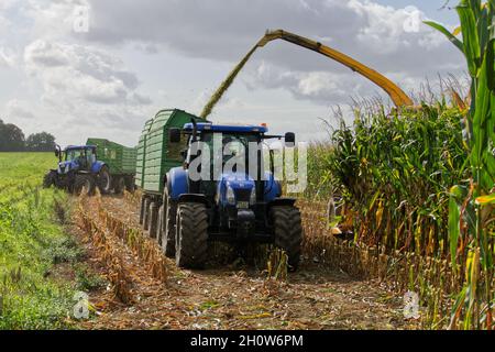 T6 New Holland Foto Stock