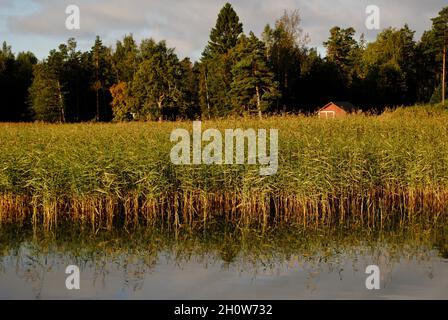 Paesaggio marino a Kitö, nel sud della Finlandia Foto Stock