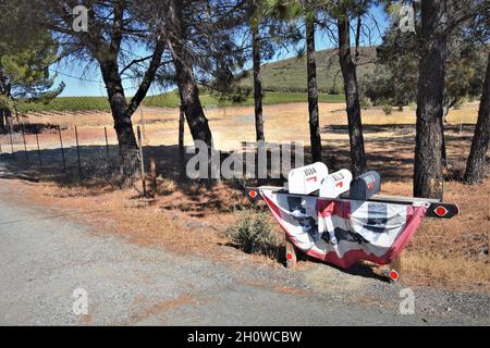Caselle postali private rurali drappeggiato con bandiere intorno a luglio 4th Foto Stock