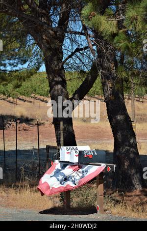 Caselle postali private rurali drappeggiato con bandiere intorno a luglio 4th Foto Stock