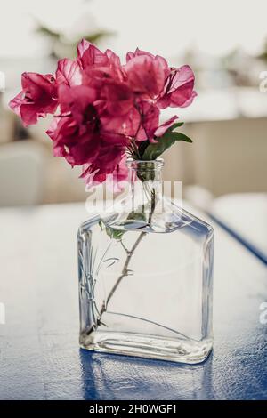 Un vaso fatto da una bottiglia di vetro per un fiore rosso Foto Stock