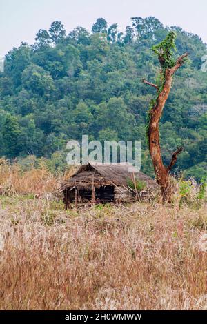 Piccola capanna nei campi vicino Hsipaw, Myanmar Foto Stock
