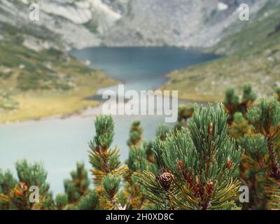 Il Seven Rila Lakes è un gruppo di laghi di origine glaciale situati nelle montagne di Rila. Questo è il gruppo di laghi più visitato in Bulgaria dai turisti. Foto Stock