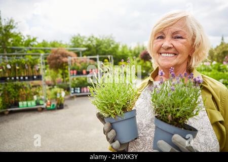 Giardiniere senior con fiori per trapiantare o per un ordine nel centro giardino Foto Stock