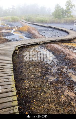 narodni prirodni rezervace Geopark SOOS, Karlovarsky kraj, Ceska republika / National Natural Reserve SOOS, Western Boemia, repubblica Ceca Foto Stock