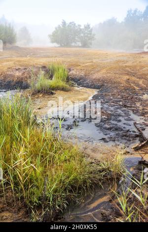 narodni prirodni rezervace Geopark SOOS, Karlovarsky kraj, Ceska republika / National Natural Reserve SOOS, Western Boemia, repubblica Ceca Foto Stock