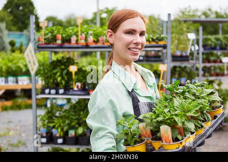 La giovane donna come tirocinante del giardiniere trasporta le piante in vaso per un ordine nella stanza dei bambini Foto Stock