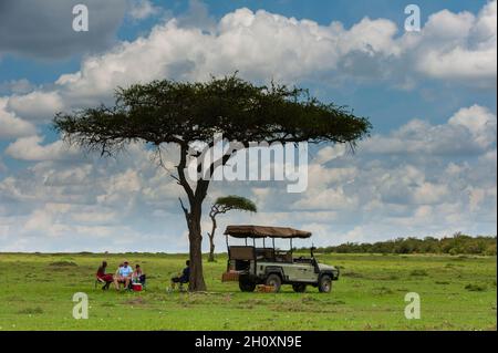 Turisti che hanno un pranzo sotto l'ombra di un albero di acacia. Masai Mara National Reserve, Kenya. Foto Stock