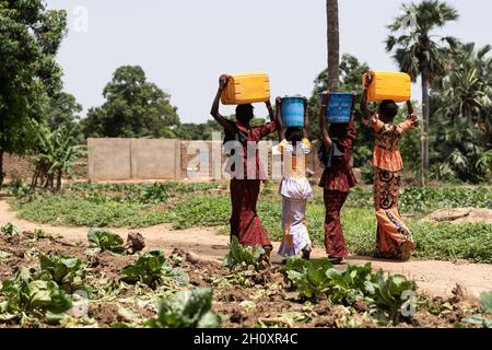 Gruppo di giovani ragazze nere dell'Africa occidentale che trasportano contenitori di acqua pesante sulla loro testa; concetto di lavoro del bambino Foto Stock