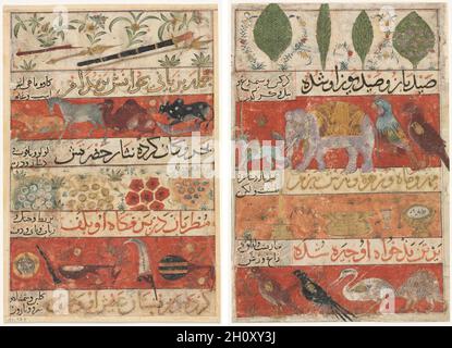 Animali, pietre preziose, monete e strumenti musicali (recto); Animali, Uccelli e piante (verso) da un Mu'nis al-Ahrar fi Daqaa'iq al-Ash'ar (il compagno di uomini liberi alle sottigliezze delle poesie) di Muhammad Ibn Badr al-DIN Jajarmi (attivo 1340), c.. 1341. Iran, Shiraz, Ilkhanid periodo (1256-1353). Acquerello opaco, inchiostro e oro su carta; totale: 19.7 x 13.5 cm (7 3/4 x 5 5/16 pollici). Questa è una delle diverse pagine che sono state rimosse da un manoscritto unico di questa opera altrimenti sconosciuta, che porta un colofone che dichiara che è stato scritto dall'autore e finito 'Ramadan, 741' (febbraio Foto Stock