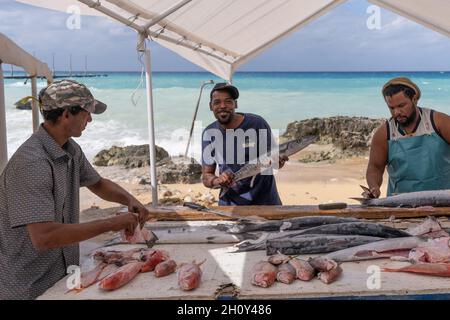 Pescatori locali che portano il pescato del giorno Foto Stock