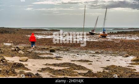 Una donna in giacca arancione che cammina su una spiaggia rocciosa a basso tino in Rhosneigr, Anglesey, Galles, Regno Unito Foto Stock