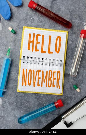 Ispirazione che mostra segno Ciao novembre. Business Concept Benvenuto l'undicesimo mese dell'anno mese prima di dicembre Scrittura Medicina della prescrizione Foto Stock