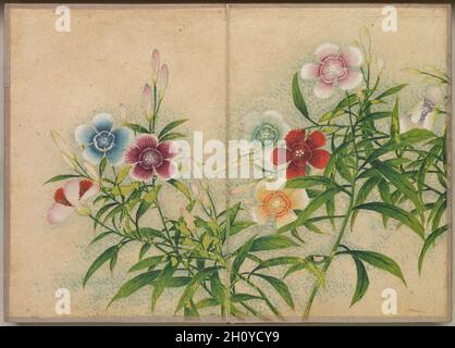 Album da scrivania: Dipinti di fiori e uccelli (Pink), 18 ° secolo. Zhang Ruoai (cinese, 1713-1746). Copertina album, inchiostro e colore su carta; immagine: 14.4 x 20.3 cm (5 11/16 x 8 pollici); album, chiuso: 15 x 10.8 x 3 cm (5 7/8 x 4 1/4 x 1 3/16 pollici). Foto Stock