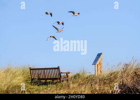 Southport, Merseyside UK Meteo; 15 Ott 2021 Bright COLD inizio al giorno come residenti locali prendere luce excercise sul lungomare, con uccelli migratori selvatici in volo sopra RSPB Marshide Reserve. Credit; MediaWorldImages/AlamyLiveNews Foto Stock