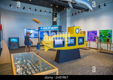 Mostra nel museo IMMS al parco marino Ocean Adventures di Gulfport, Mississippi Foto Stock