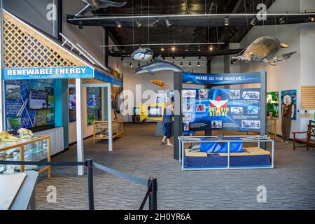 Mostra nel museo IMMS al parco marino Ocean Adventures di Gulfport, Mississippi Foto Stock