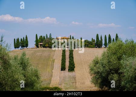 San Quirico d'Orcia Podere Belvedere Villa in Val d'Orcia in Toscana, Italia uomo e donna di mezza età visitando la regione di Toscania sulle colline dorate d'Italia durante un viaggio su strada. Foto di alta qualità Foto Stock