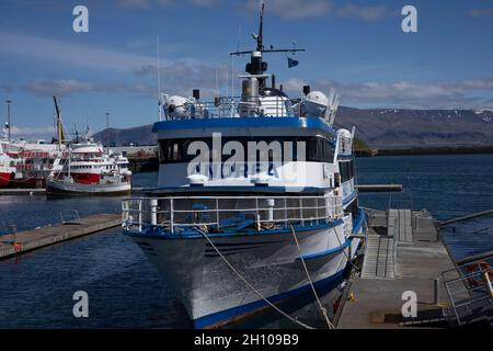 REYKJAVIK, ISLANDA - 12 giugno 2021: La 'Andrea', barca passeggeri per l'avvistamento di balene, ormeggiata nel vecchio porto di Reykjavik. Foto Stock