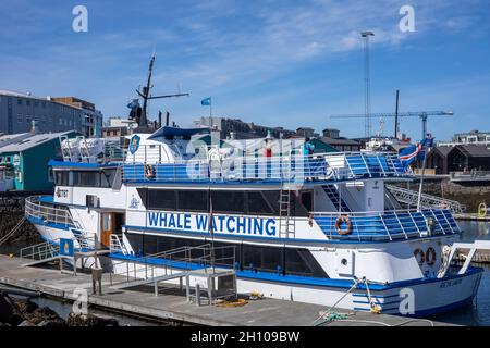 REYKJAVIK, ISLANDA - 12 giugno 2021: La 'Andrea', barca passeggeri per l'avvistamento di balene, ormeggiata nel vecchio porto di Reykjavik. Foto Stock