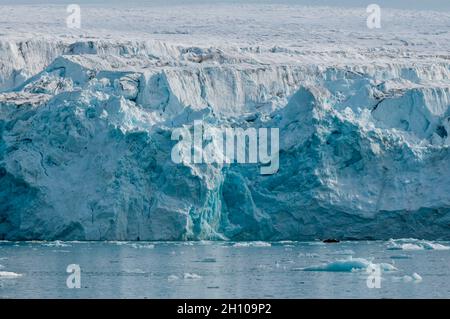 Il ghiaccio galleggia nelle acque artiche di fronte al ghiacciaio Lilliehook. Lilliehookfjorden, Spitsbergen Island, Svalbard, Norvegia. Foto Stock