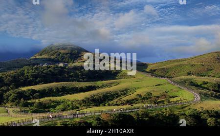 Qingtiangang, Taiwan-Ott 15, 2021: La fonte naturale di erbe alpine è a Shangshan nella città di Taipei, Taipei City, Taiwan Foto Stock