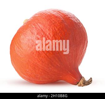 Zucca rossa fresca di hokkaido isolata su sfondo bianco. Tracciato di ritaglio. Profondità di campo completa. Foto Stock