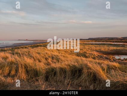Una vista lungo la Costa Norfolk a Titchwell con le paludi e la striscia costiera. Norfolk, Regno Unito Foto Stock