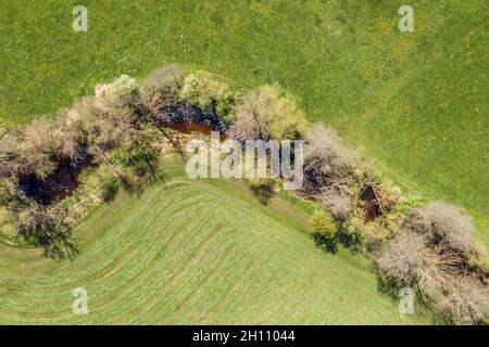 Immagine di una vista aerea del fiume Kleine Ohe, naturalmente serpeggiante, con alberi sulla riva circondati da prati verdi nella foresta bavarese, in Germania Foto Stock